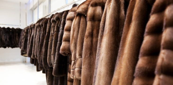 Как определить качественную шубу?