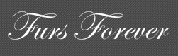 Furs Forever на Докукина