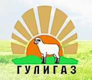 Гулигаз меха на Докукина